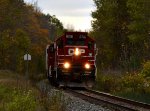 CP 541 CP 8216 CP 8211